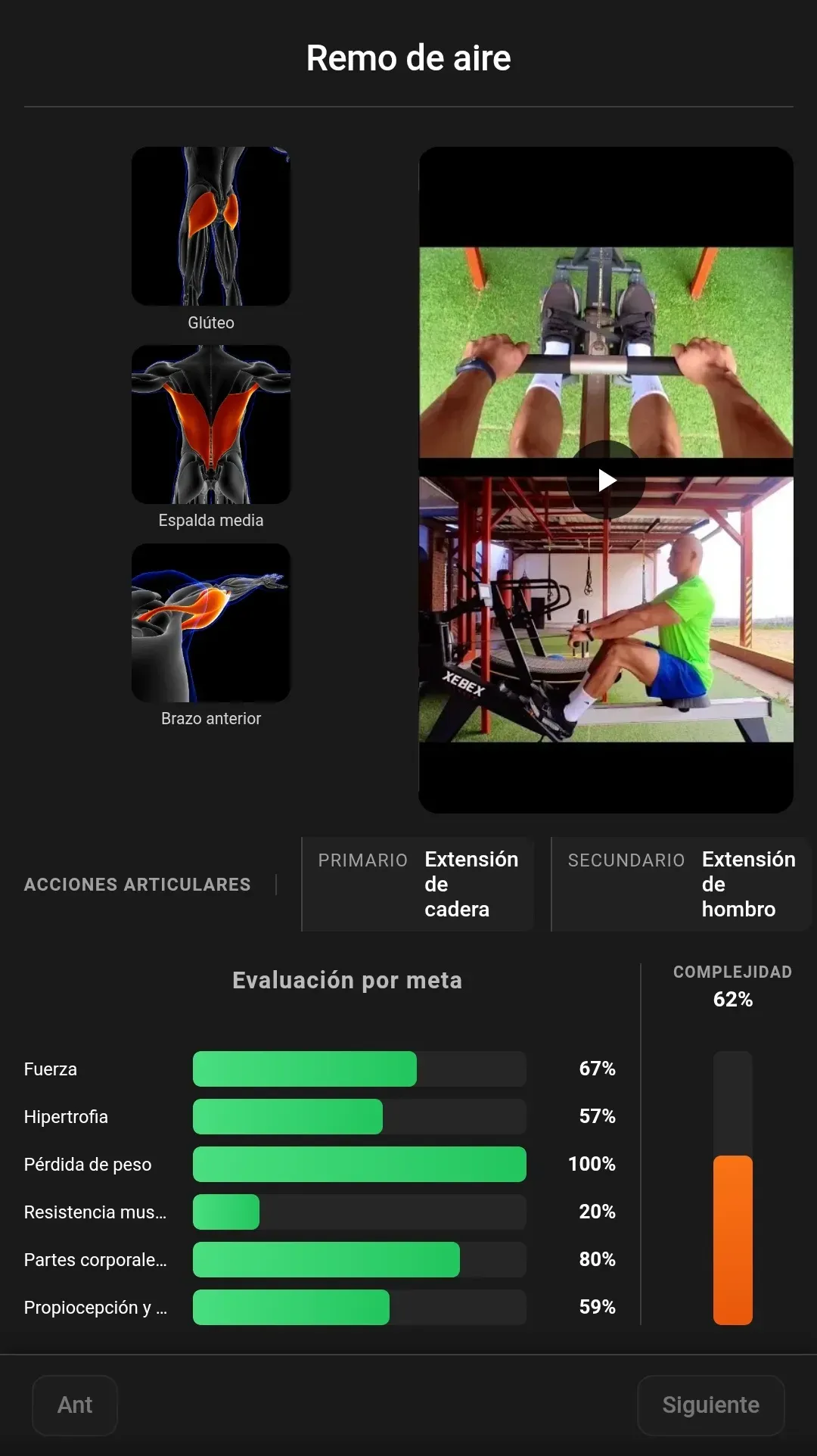 Análisis de Ejercicios con Imágenes Musculares y Acciones Articulares