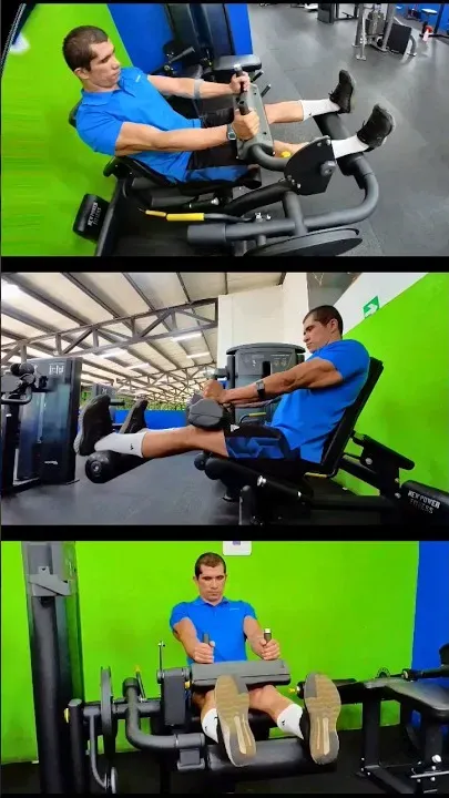 Seated Leg Curl Machine