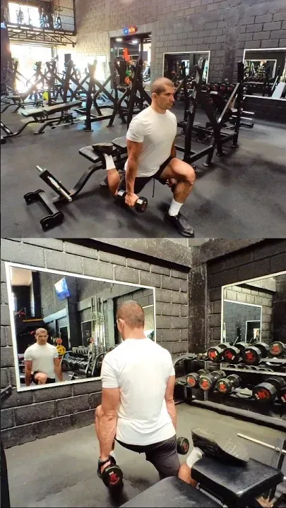 Bulgarian Split Squat On Bench With Dumbbells