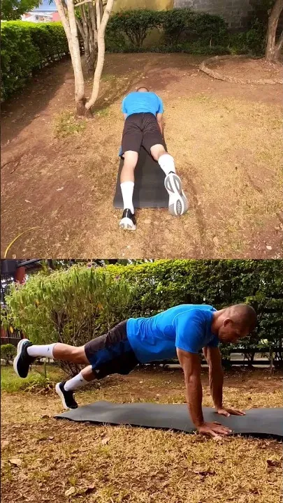 Plank Arms Straight Support One Leg Up