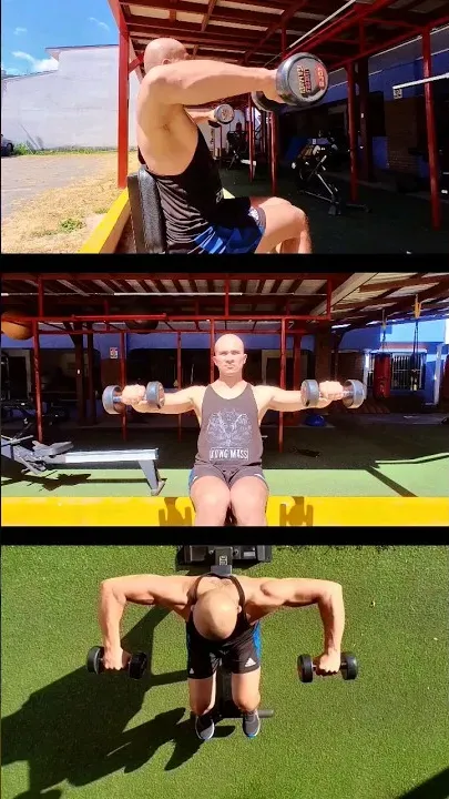 Dumbbell Lateral Raise Elbows Flexed At Ninety Degrees Seated