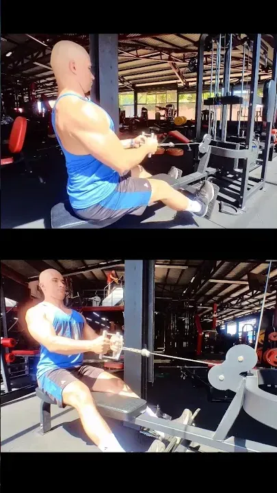 Seated Cable Row