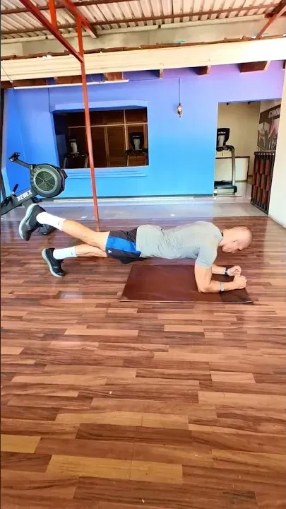 Plank One Leg Up