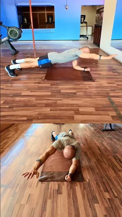 Plank One Arm Up